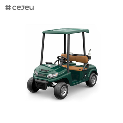 CJ-390 ((assez d'espace pour deux sièges), 12V10AH*1, #550*2, 2.4G, musique, usb, mp3, chariot de golf avec plusieurs options de couleurs