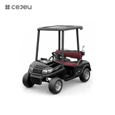 CJ-390 ((assez d'espace pour deux sièges), 12V10AH*1, #550*2, 2.4G, musique, usb, mp3, chariot de golf avec plusieurs options de couleurs